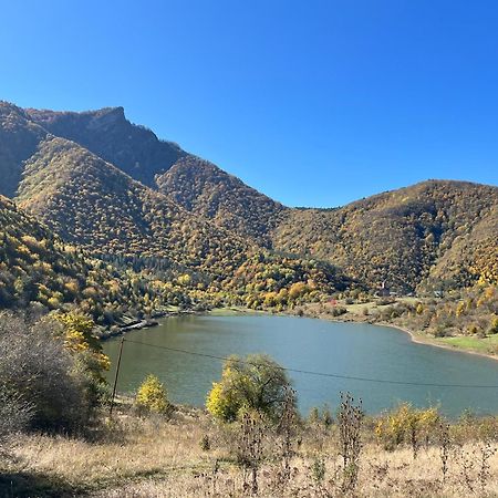 Gvirilas Sakhli Guest House Khashuri Dış mekan fotoğraf