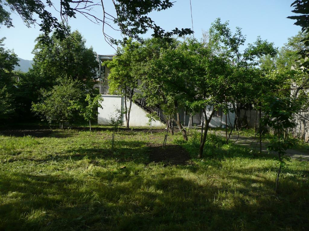 Gvirilas Sakhli Guest House Khashuri Dış mekan fotoğraf
